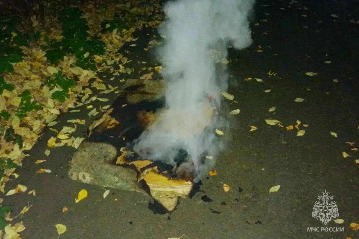 За минувшие сутки пожарно- спасательные подразделения: За минувшие сутки пожарно- спасательные подразделения: