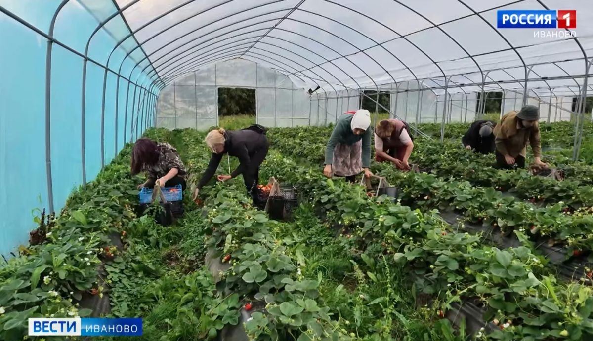 Стать аграрием, пройдя спецкурс теории и практики