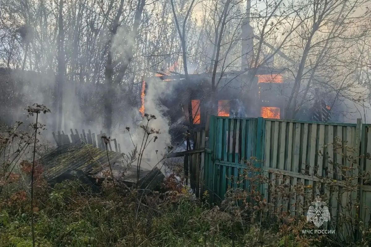За минувшие сутки пожарно- спасательные подразделения: За минувшие сутки пожарно- спасательные подразделения: