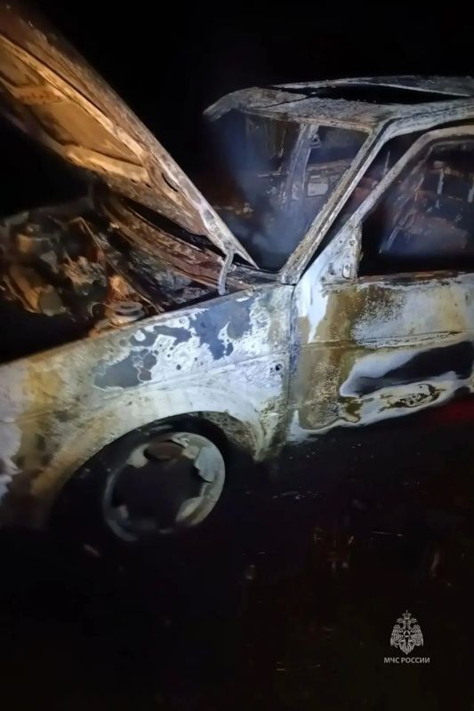 За минувшие сутки пожарно- спасательные подразделения: За минувшие сутки пожарно- спасательные подразделения: