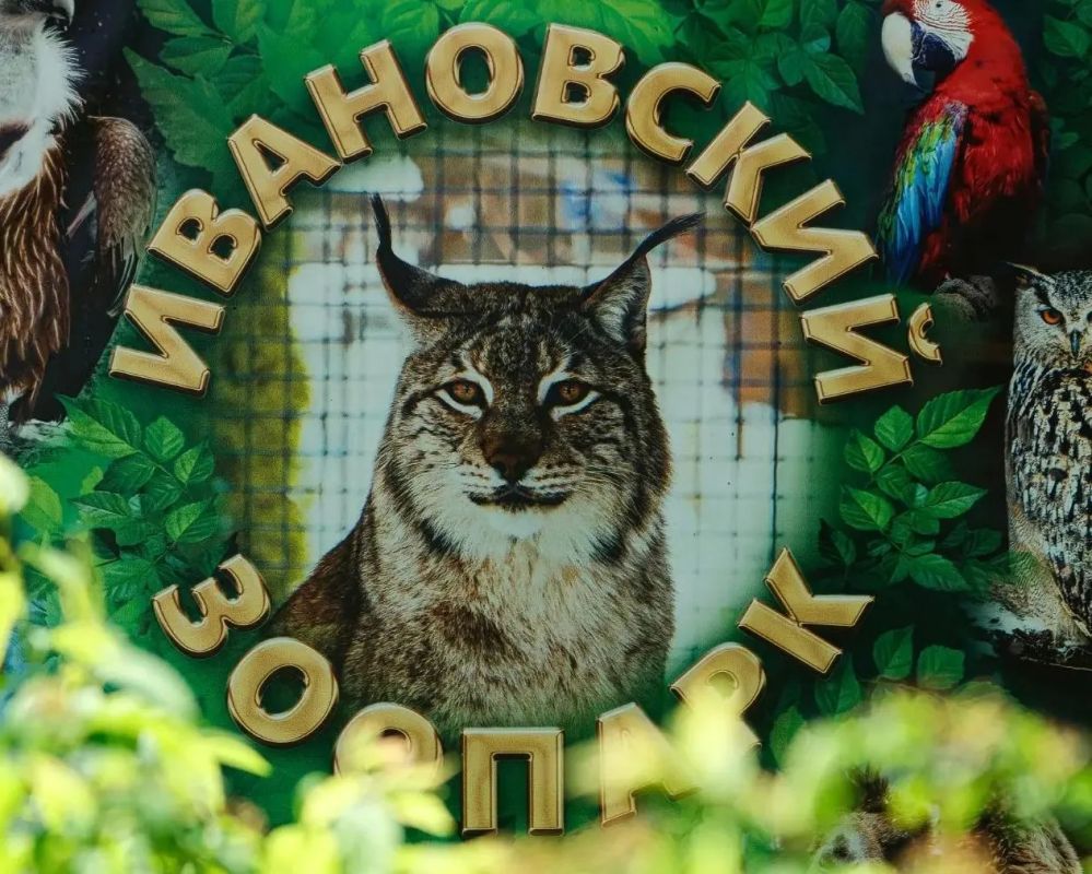 Провести школьные каникулы с пользой поможет Ивановский зоопарк