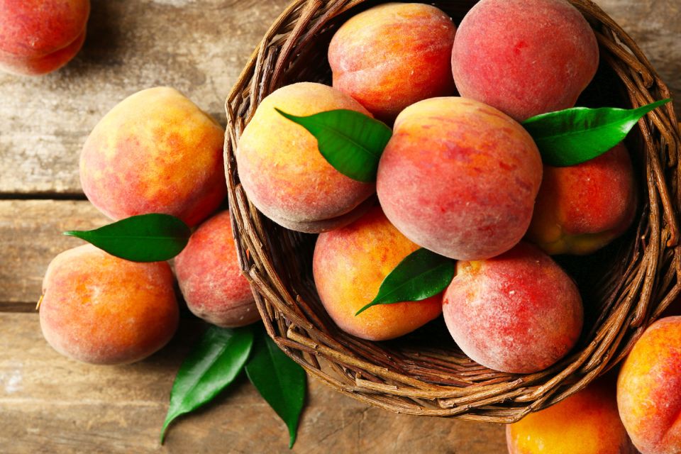 Персик в саду: как вырастить вкусные плоды даже в холодном климате