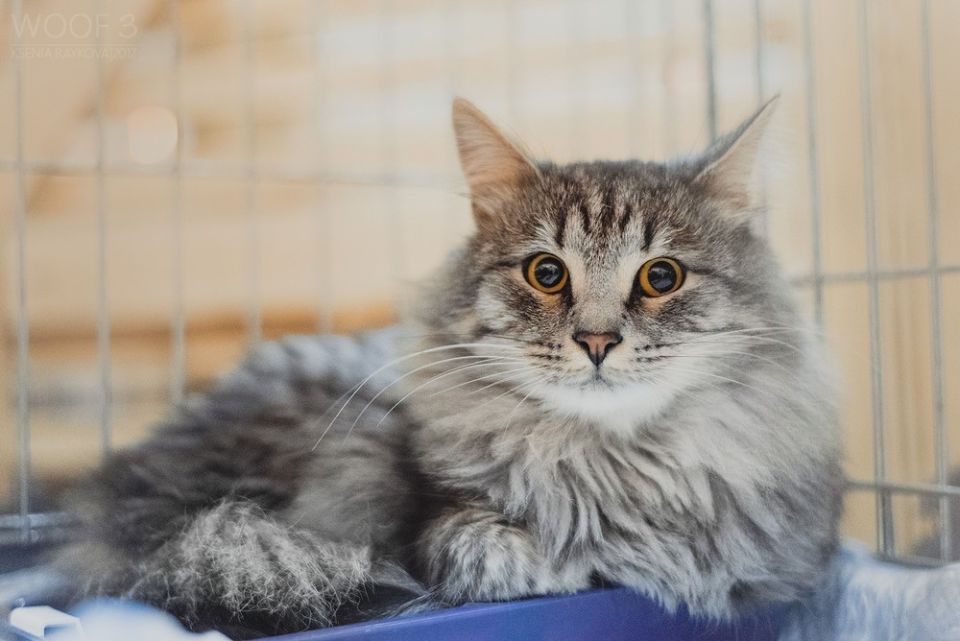 Приглашаем на фестиваль