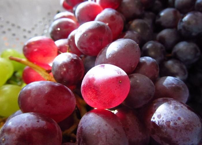 Тайны быстрого созревания винограда: советы для успешных садоводов