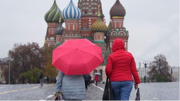 Новые законы ноября 2025: что изменится в вашей жизни?