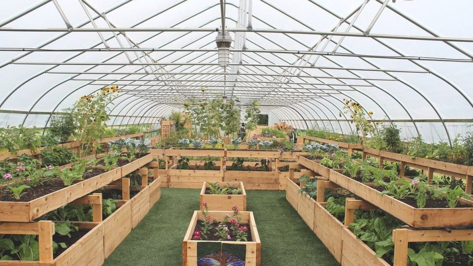 Гумат калия: секреты повышения урожайности и здоровья растений