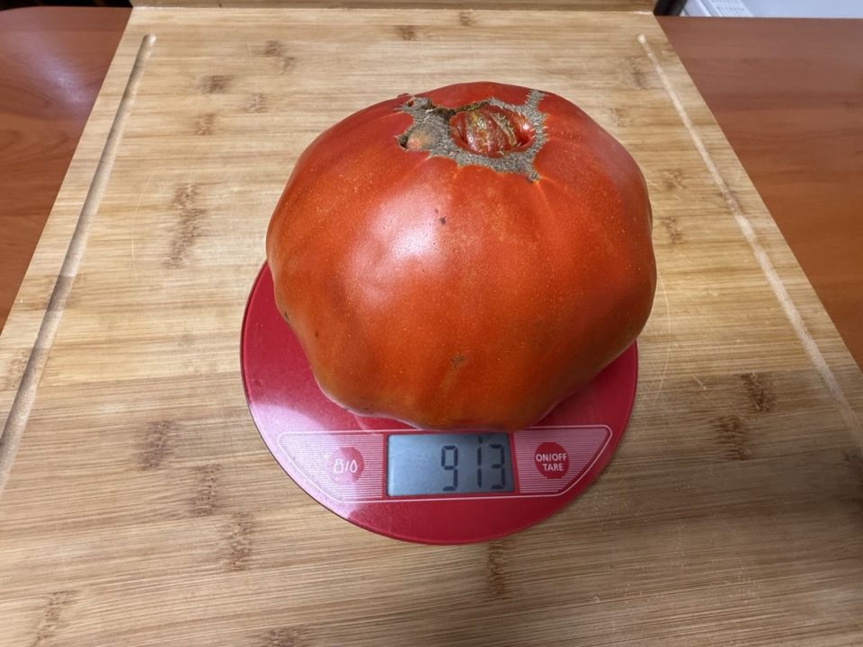 Томаты 2026: востребованные сорта и неожиданные нюансы для садоводов