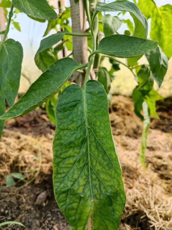 ������ ������ � ����� ��� ����� ��� �������� ������?