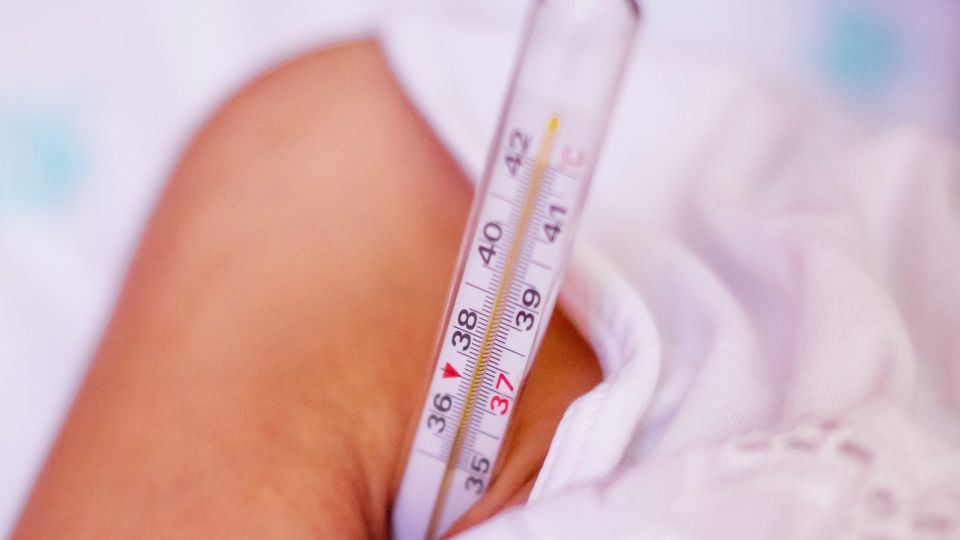 ��������� ������: ��� ��� ����� ��������� ������� ���������