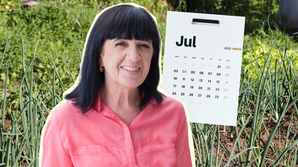 ��� ��� ����� ������� � ����� � ����: ������ ����� �����, ��� � �������