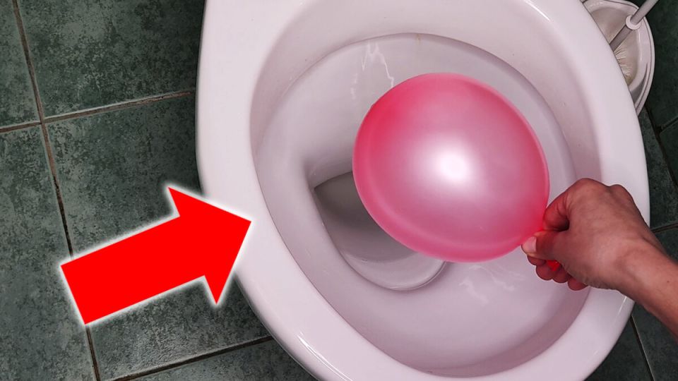 ��������� ��������: ��� ��������� ����� ������� �������� ������ � ��������� ���������� ������