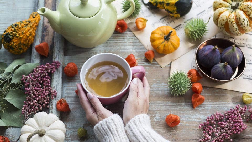 ��������, ������� ����� �������� ��� ���������� �����