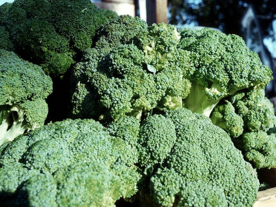 ������� ������: ��� � ����� ���� ������ �������� ��� ������������� ������