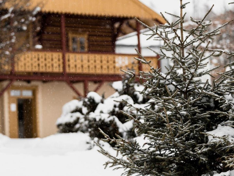 ������� �� ����: �������� ������� ��� ��������� ������ ������