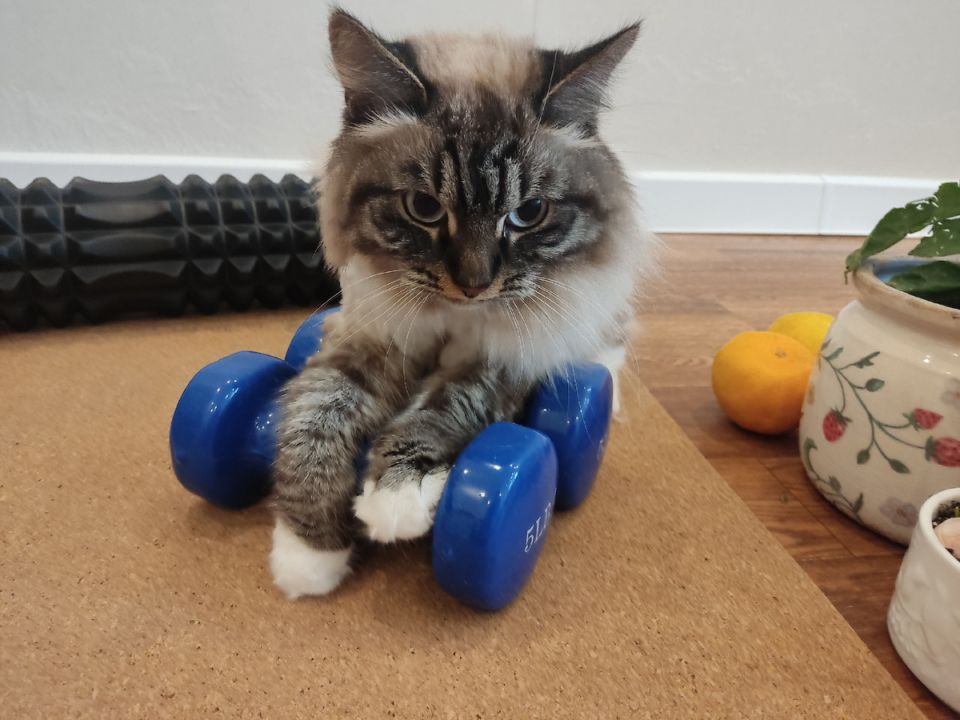 ��� ������ ����� � ����� ����������� �� �������� ��������� � ����