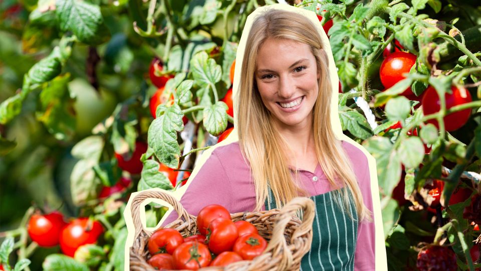 �������� ���� ����� � ��������� ������ �������: ������ ��� ������ � ������ �� ������