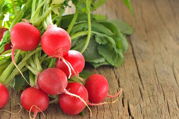 ������ ����: ������� ������ � ������������ ��������������