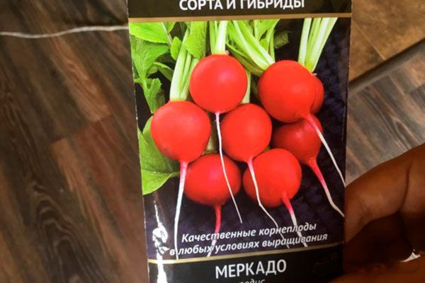 Редис Меркадо: от вкуса до агрономических секретов