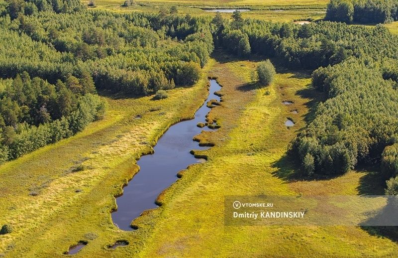 ���������� ������ ������������ ��������� � ������ ������� ��� ��������� ����