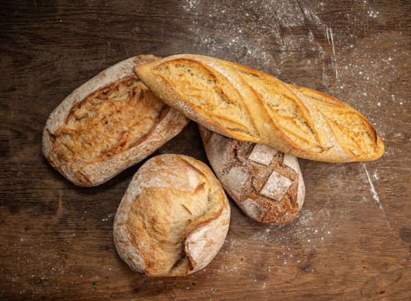 ����� ��� ������� �� �������� �����: �� ����� �� ������������ �����