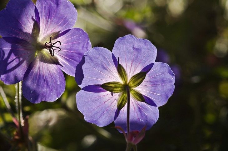 ��� ��������� ������ ������ ���� �������: ��������� ��������