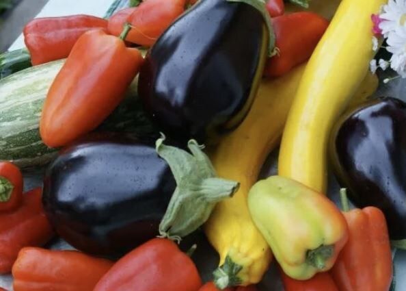 Как получить отличный урожай перцев и баклажанов с помощью органических подкормок?