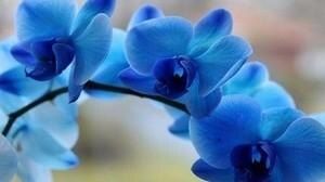 ������� ��������� ������: ���� � ������ � ����� � ������� ���������