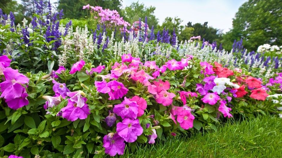 Как осенний посев семян может преобразить ваш сад без лишних затрат