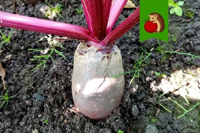 ��� ��������� �������� ������ � ������� ��� ������� � ������� �����������