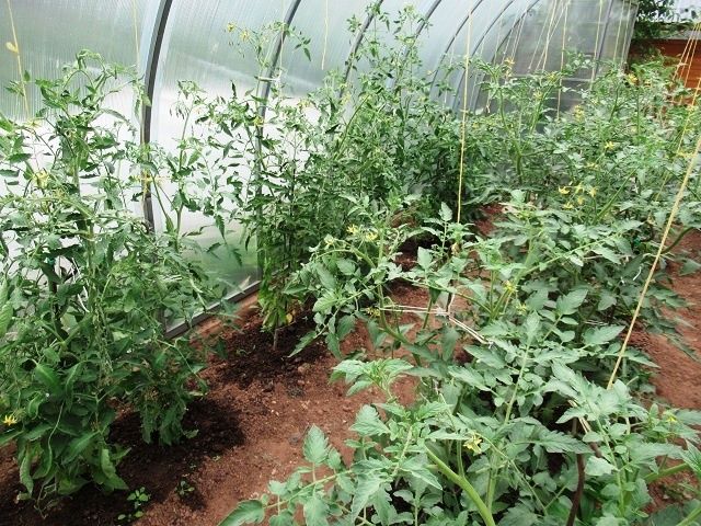 ������ � ������� � ������� ������������ ������: �������� ������� � �������