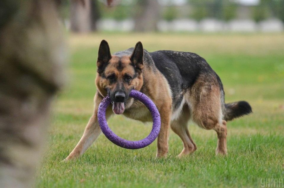 ������� ������, ������� �������� ����� ��������