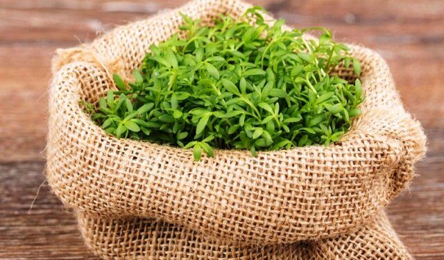 �����-�����: ����������� �������� �� ������������ ��� �����������