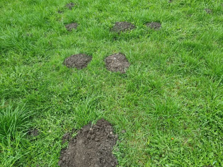 ��� ������ �������� ����� � ������� ��� ������: ������ ����������� ������