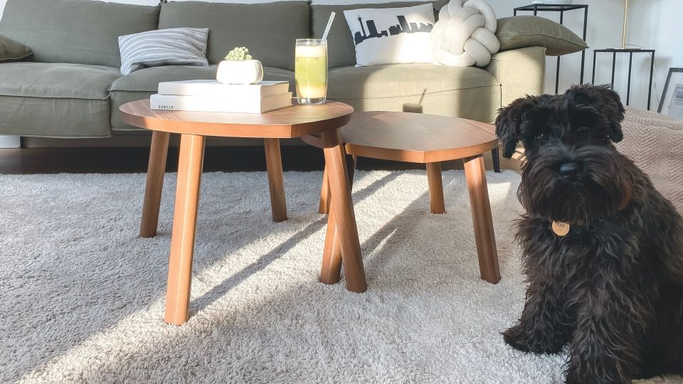 ��������� �� �����������: ��� ��� ������ ������ ���� �� ���� � �����