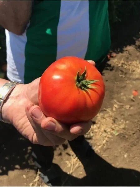 ���������: ��������� ����� ��� ������ �������