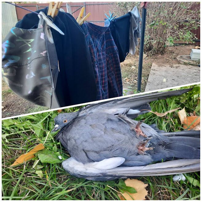 ��������� ������ ���������� ���� � ���� ��������