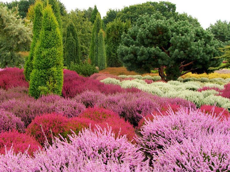 ������: ������� ������� � �����, ������� ������� ��� ���