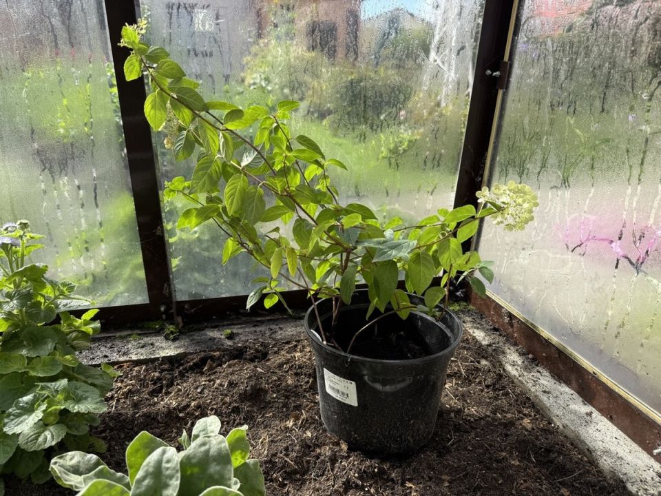 ��������� � ����� ����: ������� ��������� �����������