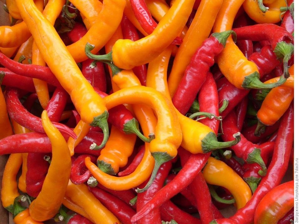 ������ �����: �������� �������� � ����� ������ �� ������ ����