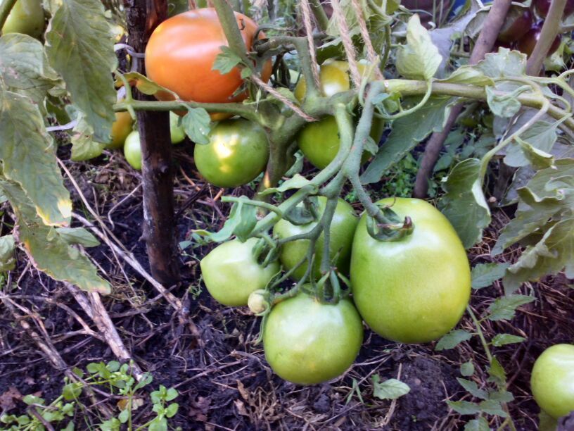 �������� ������� 2025: ������ ����� ��� ��������� ������, ������� ���������� ������������