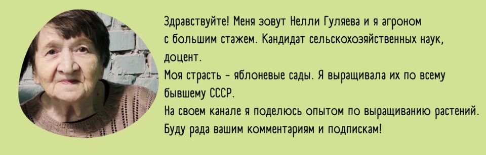 Как добиться отменного урожая огурцов: полезные советы по уходу