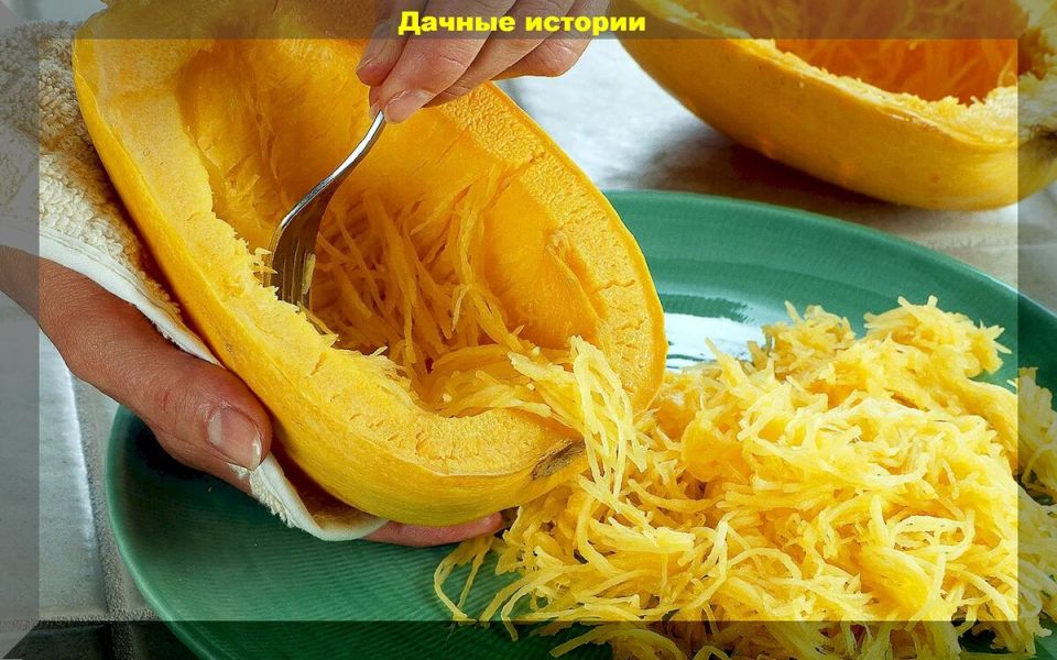 Как вырастить идеальные кабачки: секреты и советы опытных дачников