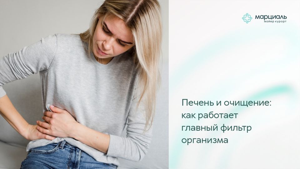 Печень — главный фильтр организма: как она работает и что влияет на её здоровье