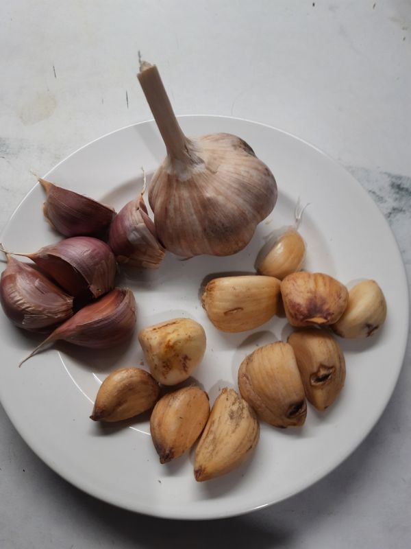 Почему не пророс чеснок: советы и причины неудачи