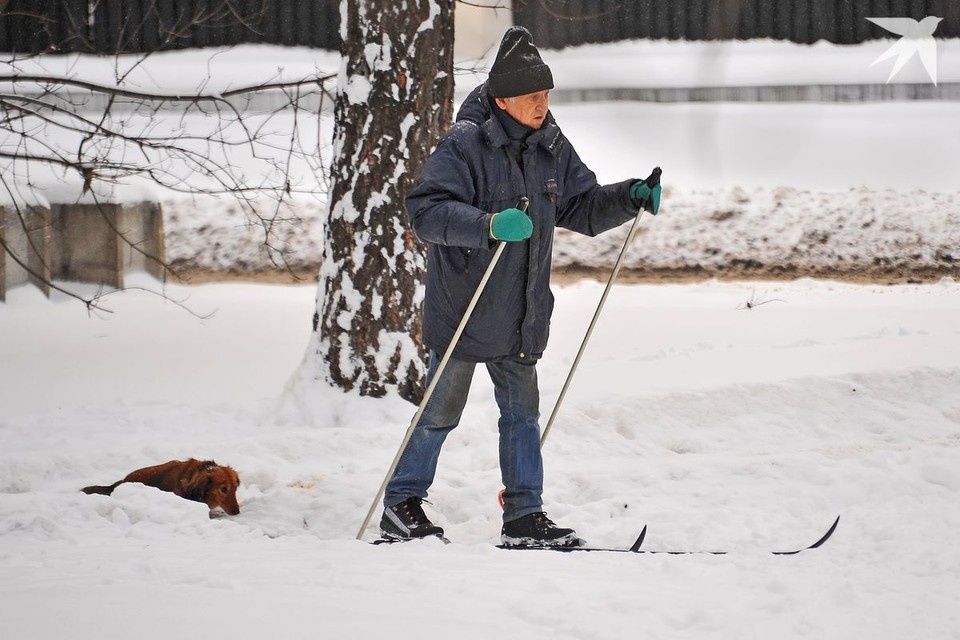Льготы для пенсионеров: от бесплатного проезда до скидок на коммунальные услуги
