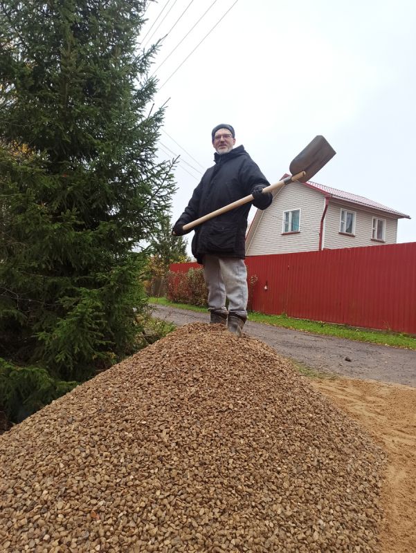 Что нужно знать о рядовке фиолетовой: советы по приготовлению и полезные свойства