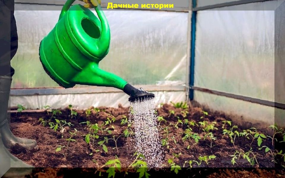 ��� ��������� �������� �������� � �������: ������ ��� ����������