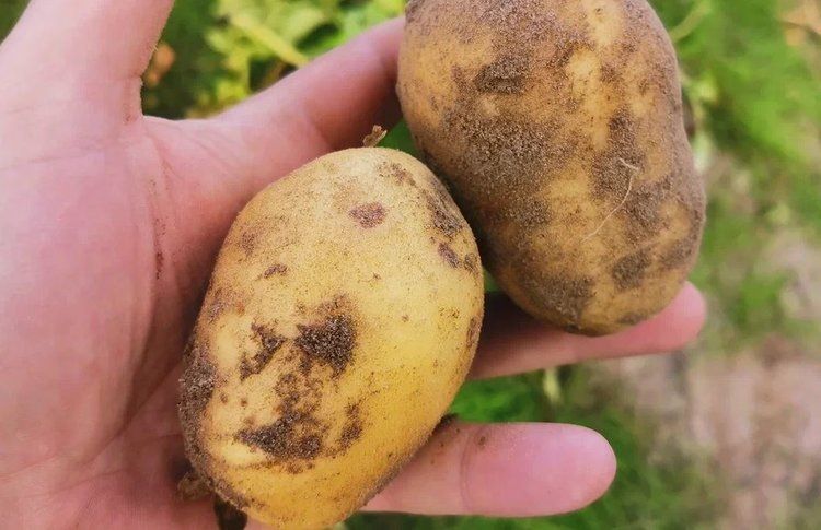 ����� ����� ��������� ������� ����������� ������������� �����