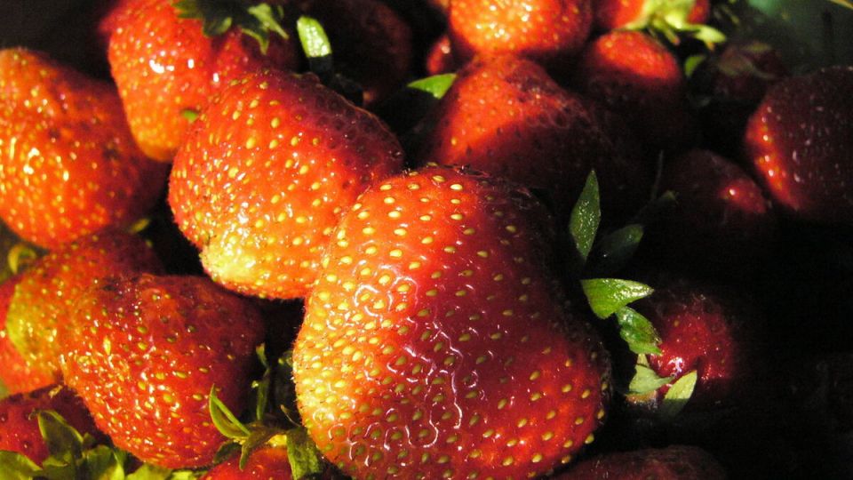 ��� ��������� ������� ��������� �� ���������: ������� ������