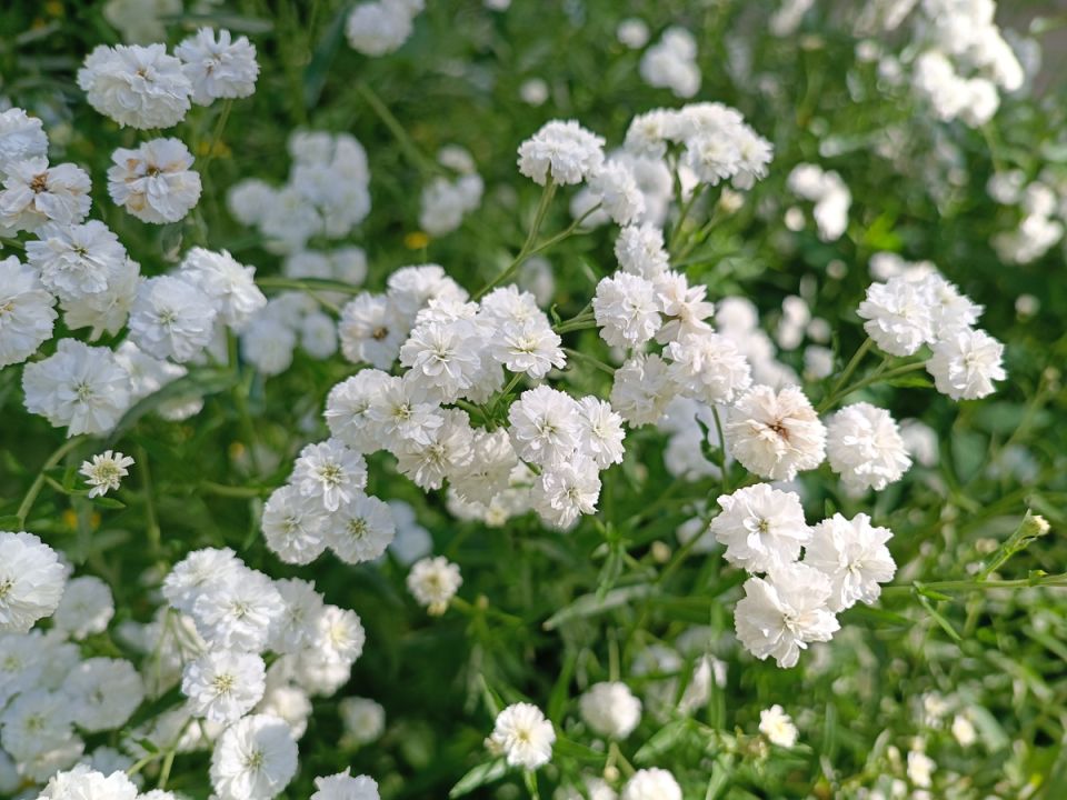 ����������: ������� ��������, ����� � ���� ��� ������ ����